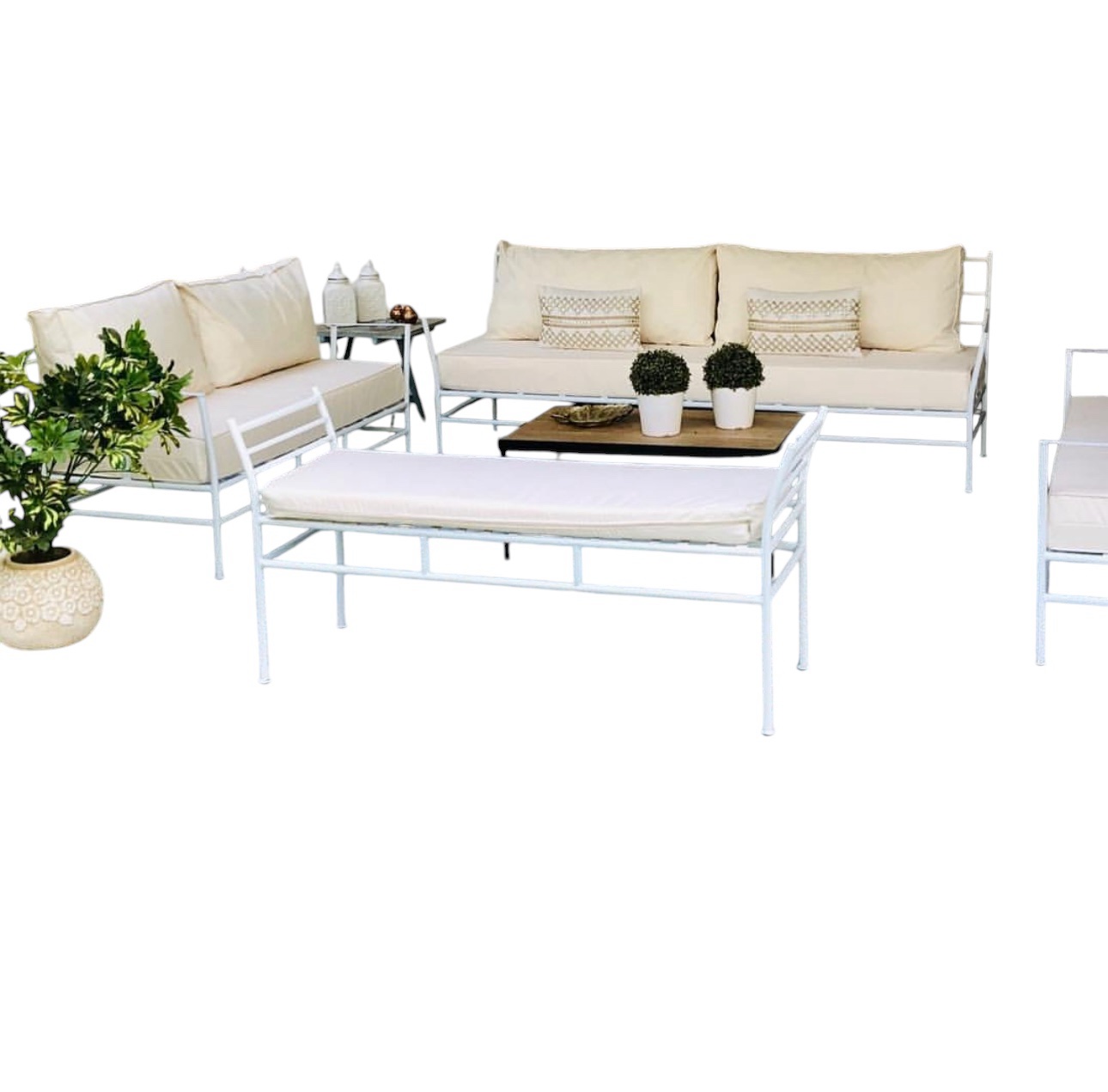 photoroom_20250219_173601